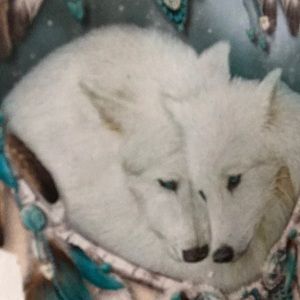 Meet your Posher, Reina